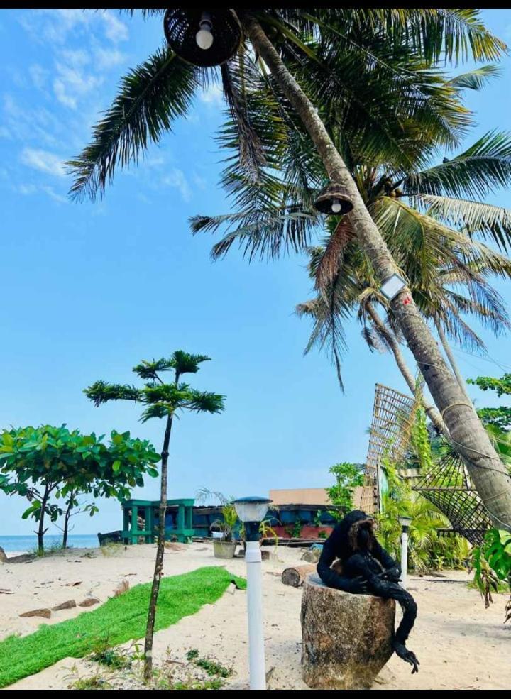 Alivious Beach Homestay Alappuzha ภายนอก รูปภาพ